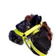 Hobby Horse Konik na kijku zestaw - WIKI + METRYCZKA 