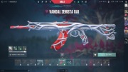 Konto Valorant skiny