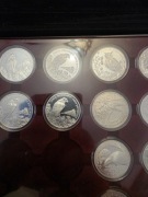 20 zł Sokół wędrowny - 2008