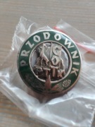 Odznaka przodownik GOT PTTK