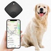 Lokalizator GPS dla Psa i Kota