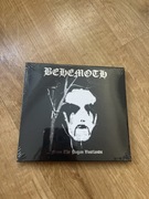 Behemoth - From The Pagan Wastelands CD 