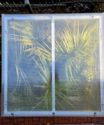 Jak zabezpieczyć palmę na zimę .