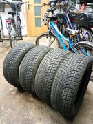 Opony zimowe Dayton 195/55/15