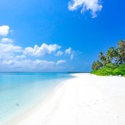 1 utwór muzyczny, pełnia praw