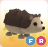 FR Hedgehog | Adopt Me Roblox