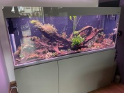 Aquael Glossy ST 150 - 405L - Pełny zestaw klasy premium