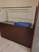 Akwarium 240L plus szafka