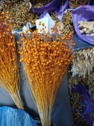 len pomaranczowy zboże suszone naturalny w wiązkach 