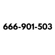 666_901_503 Złoty Numer Prosty Łatwy do Zapamiętania Starter T-Mobile !