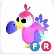 Dodo FR || Adopt me || Roblox