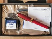 pióro wieczne Sailor Pro Gear Kanreki , stalówka Medium 21K