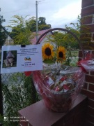 API-TERAPIA W PASIECE ,,CÓD MIÓD" 