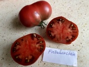 Pomidor Frankenstein nasiona kolekcjonerskie