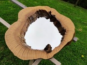 Lustro w pniu drzewa 