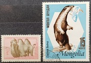 Mongolia 1958 r. Fauna Ssaki