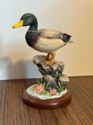 Border Fine Arts „Mallard” (A6054) – dekoracyjna figurka kaczora z lotosem