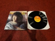 920. LP Winyl Andreas Vollenweider – Behind The Gardens Behind The Wall 