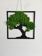 Drzewko z mchu. Drzewo. Mech. Obraz mech 40x40