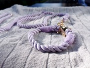 Liliowa obroża +smycz L