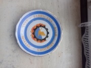 Talerzyk Stal Mielec 