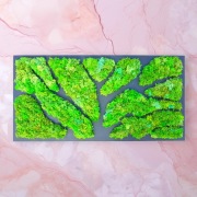Zachowany Mech Ścianę Sztuka Drzewo Naturalny Mech