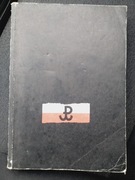 BEZ BUŁAWY, Cezary Leżeński