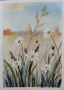 Akwarela Akwarelka Obraz pt. Łąka 4