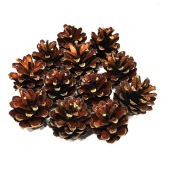 Polskie naturalne SZYSZKI SOSNOWE Florystyka Dekor Stroik 12 szt.