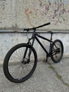Pinnacle Ramin 29 Boost XL Deore X-Fusion trail enduro xt ht hardtail