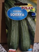 Cukinia zielona "Soraya"