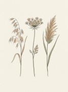 Zestaw 3 plakatów 30x40 cm botaniczne ilustracje do salonu i sypialni