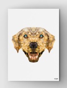 Plakat z psem Wild A3
