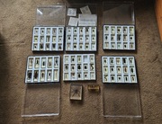 Prawdziwe Owady i Pajęczaki – kolekcja + gazetki