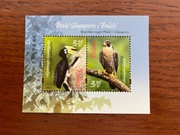 Bl 343** 5021-5022 Ptaki Singapuru i Polski