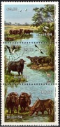 Znaczki pocztowe ** Brazylia 1984 r. fauna, bawoły