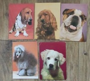 Zestaw pocztówek prl 