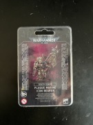 Plague Marine Icon Bearer