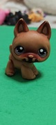 Littlest pet shop  owczarek #454
