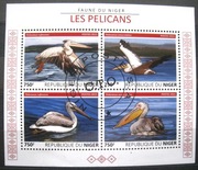 Fauna ptaki  2015 rok 