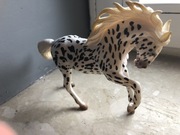 Model konia collecta klacz