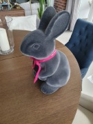 Zając stary browar 46 cm kolekcja 2026 odbiór osobisty w Puszczykowie 