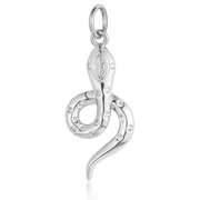 Zawieszka do biżuterii Wężyk, srebrny kolor, z cyrkonami, 25x11mm., 1 szt.