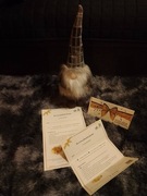 PREZENT NA MIKOŁAJKI- RODZINNY VOUCHER- 1 noc/ 4os. NOCLEG POD BABIĄ GÓRĄ