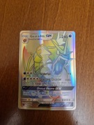 Karta z serii Pokemon Go