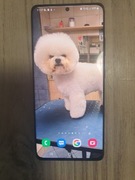 Samsung Galaxy S21 Ultra 