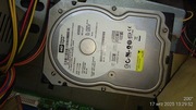 Dysk HDD WD (Western Digital) WD800BB 3,5" 80GB 7200obr. IDE/ATA