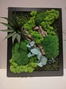 Obraz z mchu, chrobotek,rośliny stabilizowane, prezent na święta