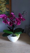 sztuczny storczyk kwiat orchidea pięciopędowy 