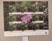 4863** Arkusz Arkusik Ogród Botaniczny w Warszawie 2018 r. 